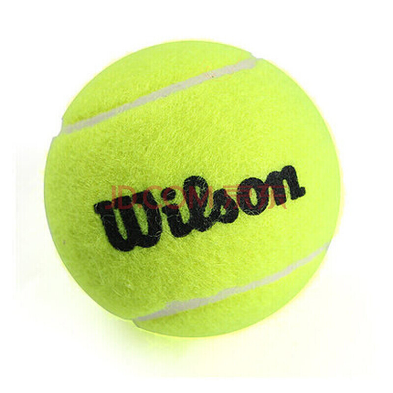 体上的障碍 体上的障碍