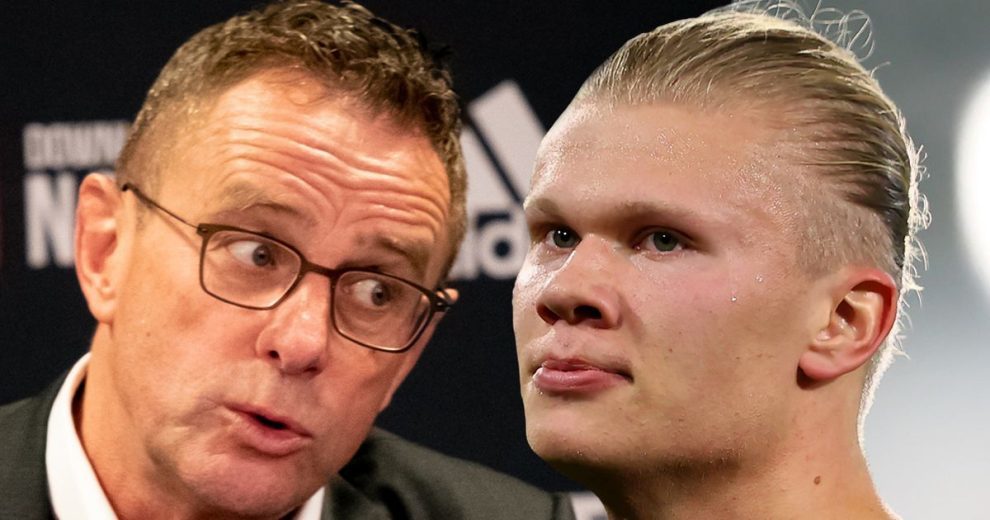 的体验里放 的体验里放